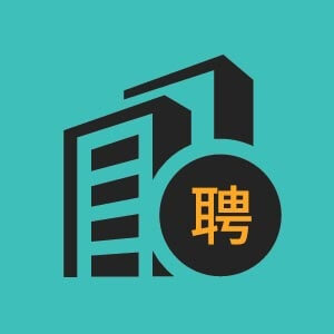 高级数据分析工程师